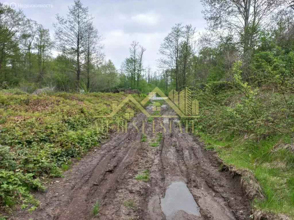 Участок в Владикавказ, проспект Коста (5 м) - Фото 2