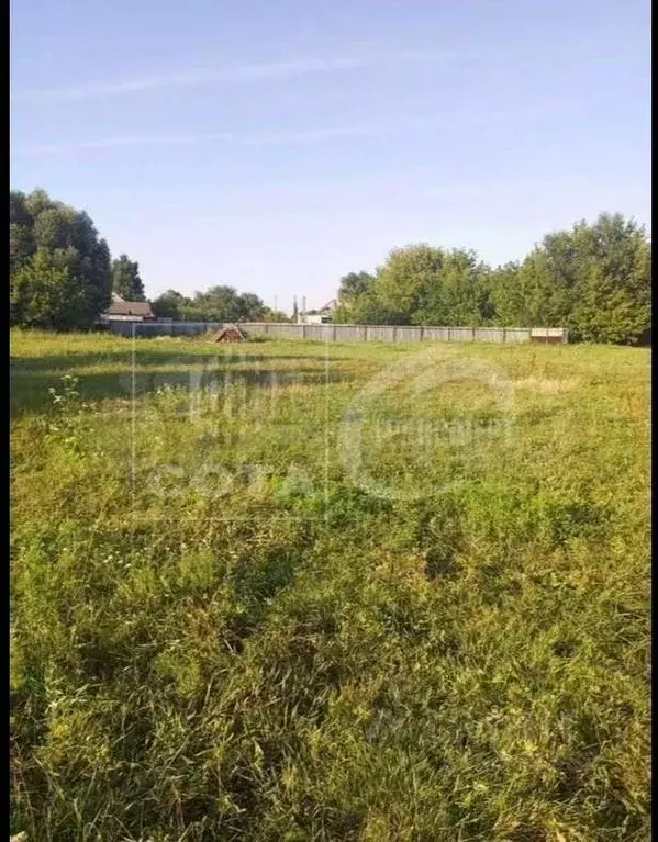 Участок в Воронежская область, Новоусманский район, с. Орлово  (9.0 ... - Фото 0