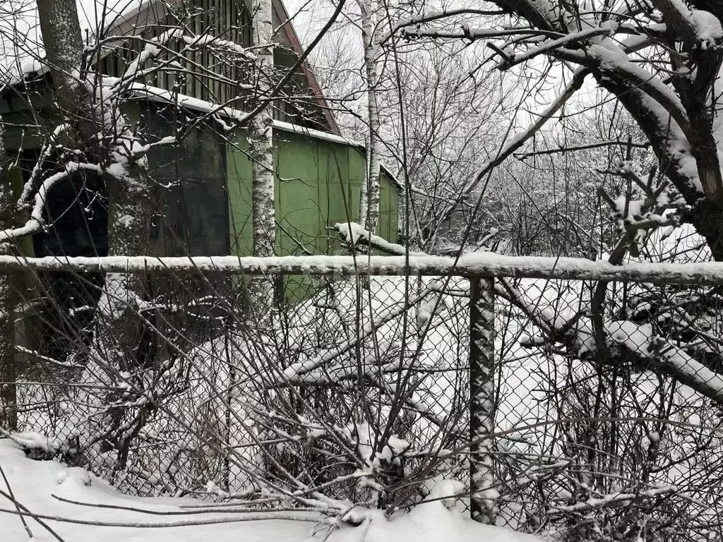 Участок в Нижегородская область, Бор городской округ, д. Шубино ул. ... - Фото 1