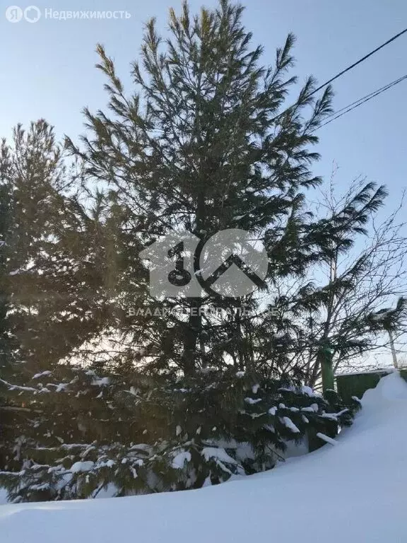 Участок в станция Иня-Восточная, Центральная улица (10 м) - Фото 2