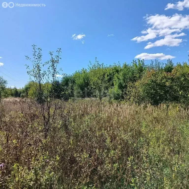 Участок в Сарапул, Центральный жилой район, улица Водопьянова (8 м) - Фото 1