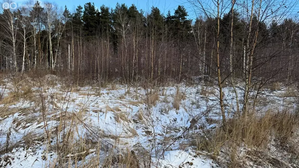 Участок в Раменское, 2-я Серебряная улица (7.6299996 м) - Фото 2