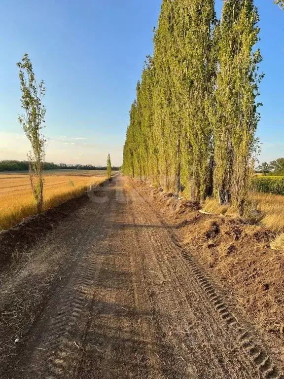 Участок в Ростовская область, Аксайский район, Щепкинское с/пос, пос. ... - Фото 1