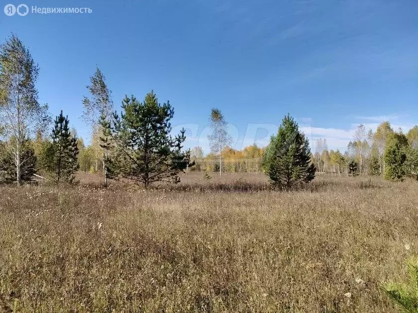 Участок в Тюменский район, село Кулига, коттеджный посёлок Заповедный ... - Фото 0