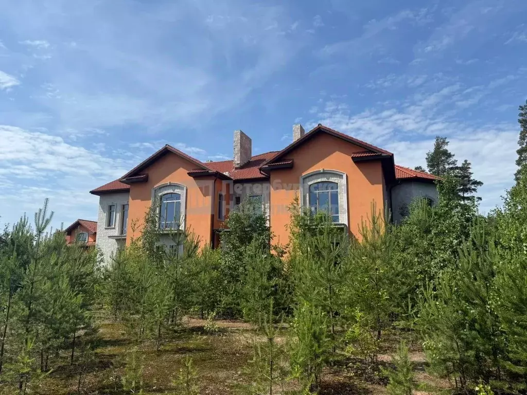 Участок в Ленинградская область, Выборгский район, Первомайское с/пос, ... - Фото 2