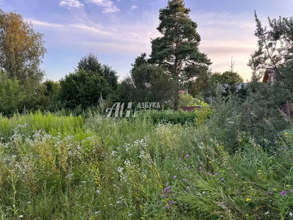 Участок в Московская область, Солнечногорск городской округ, д. ... - Фото 0