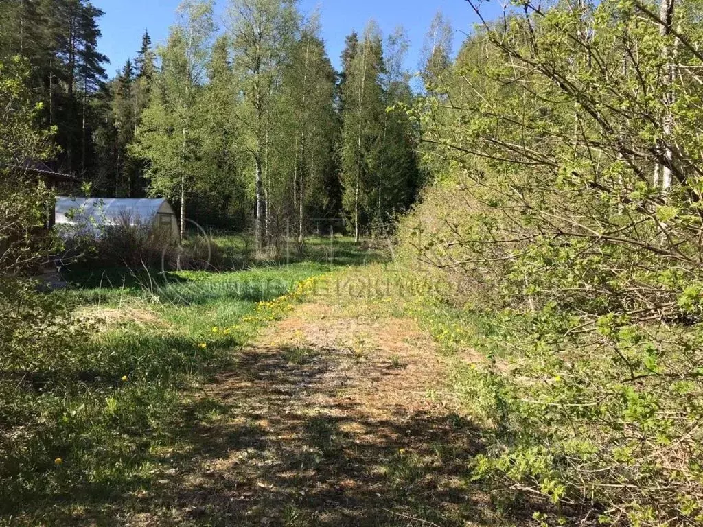 Участок в Ленинградская область, Выборгский район, Рощинское городское ... - Фото 0