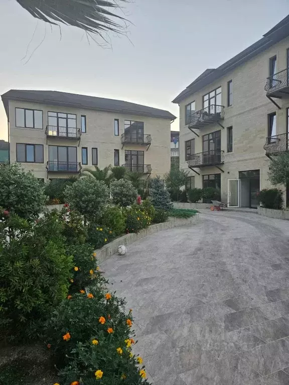 3-к кв. Краснодарский край, Сочи городской округ, с. Веселое ул. Мира, ... - Фото 1