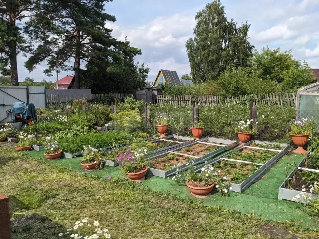 Участок в Новосибирская область, Новосибирский район, Мочищенский ... - Фото 1
