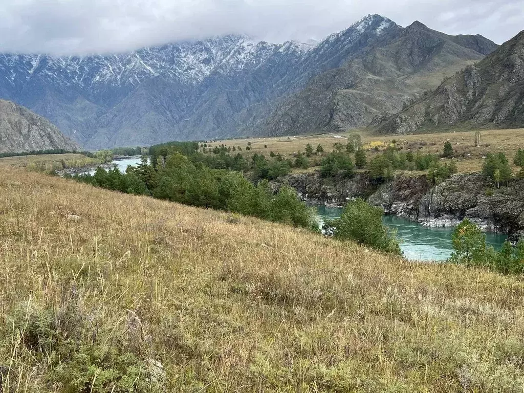 Участок в Алтай, Чемальский район, с. Куюс Центральная ул. (1.0 сот.) - Фото 1