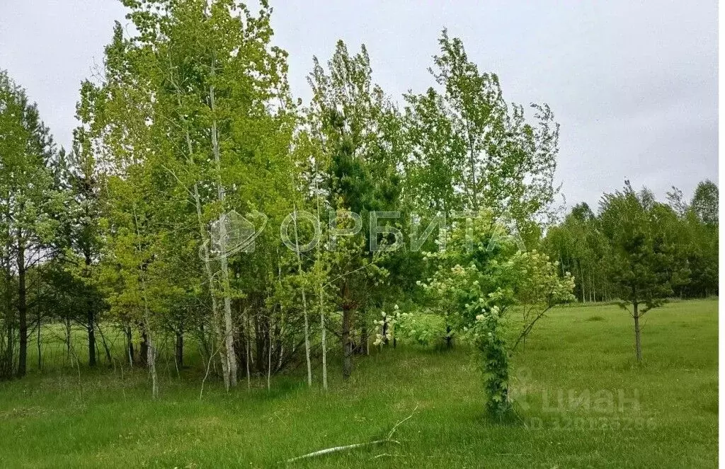Участок в Тюменская область, Нижнетавдинский район, Полиграфист ... - Фото 0