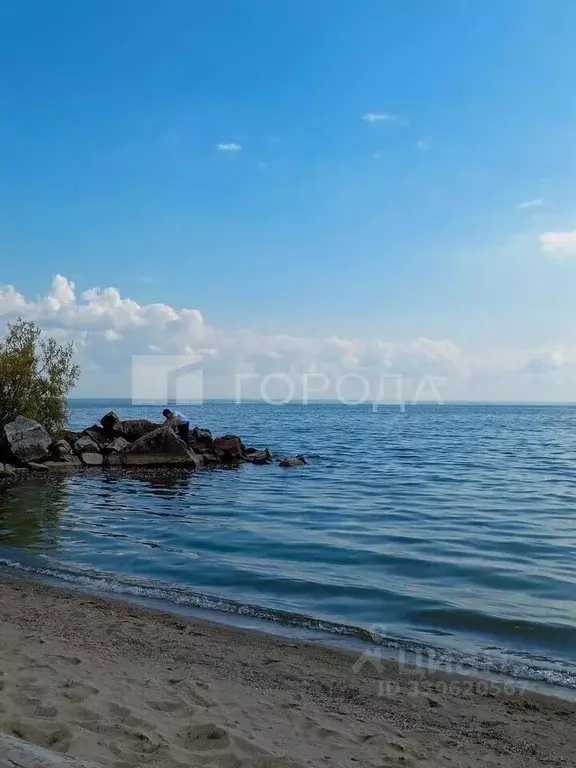 Участок в Новосибирская область, Новосибирский район, Морской ... - Фото 1