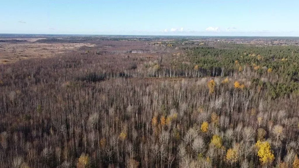 Участок в Ленинградская область, Всеволожск Колтушское ш., 298 (2850.0 ... - Фото 1