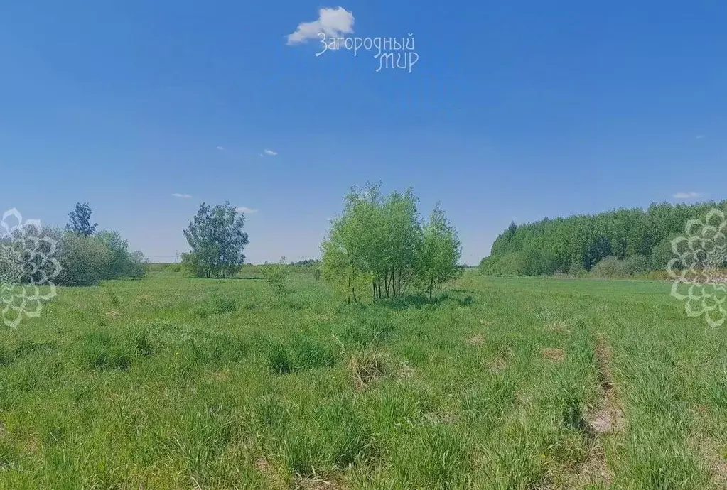 Участок в Московская область, Богородский городской округ, д. Старые ... - Фото 1