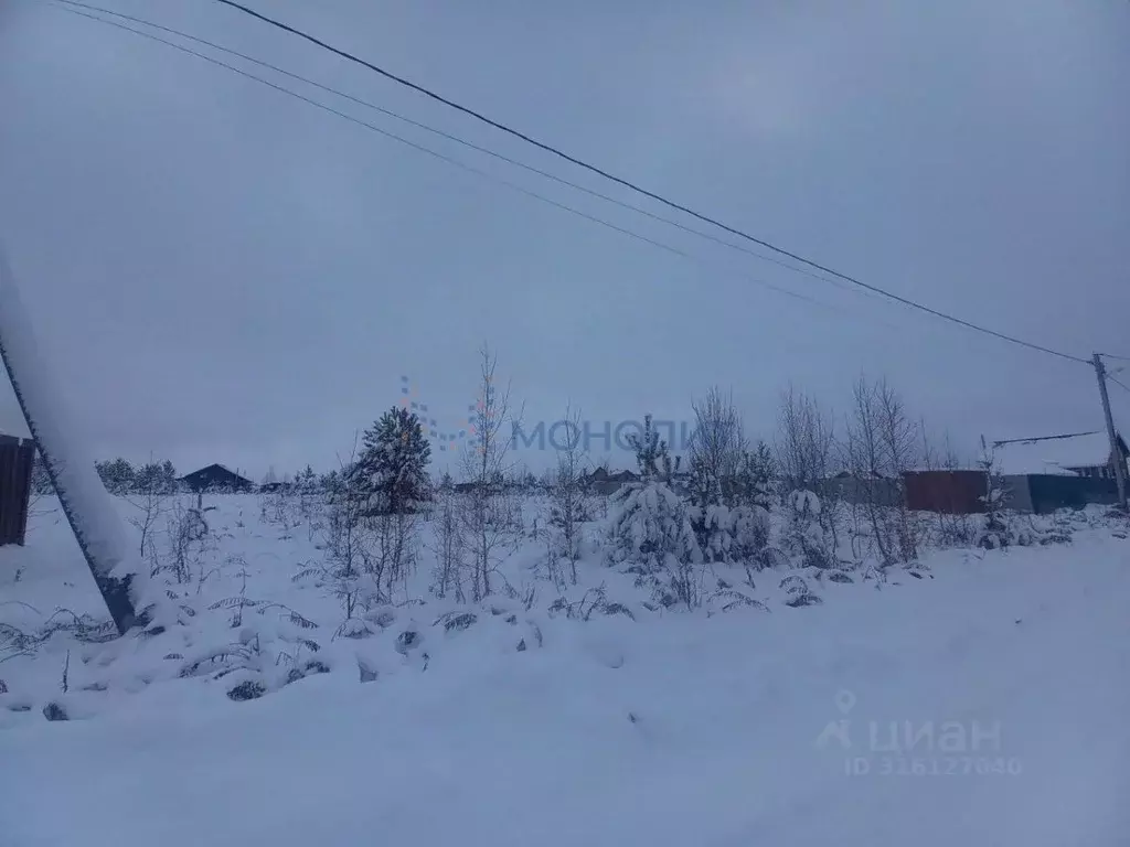 Участок в Нижегородская область, Богородский муниципальный округ, д. ... - Фото 1