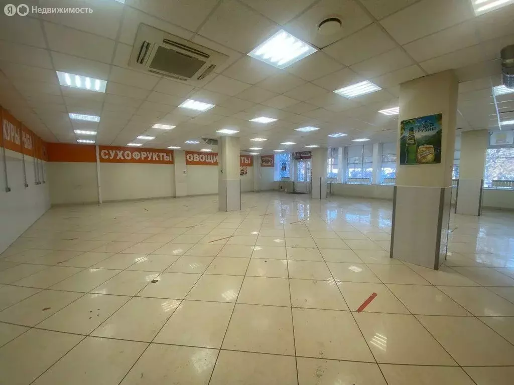 Помещение свободного назначения (265 м) - Фото 2