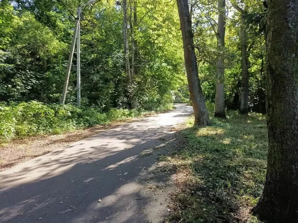 Участок в Калининградская область, Калининград Александра ... - Фото 1