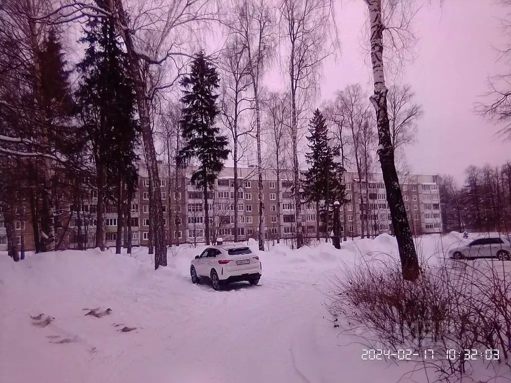 1-к кв. Ивановская область, Ивановский район, Богородское с/пос, с. ... - Фото 1