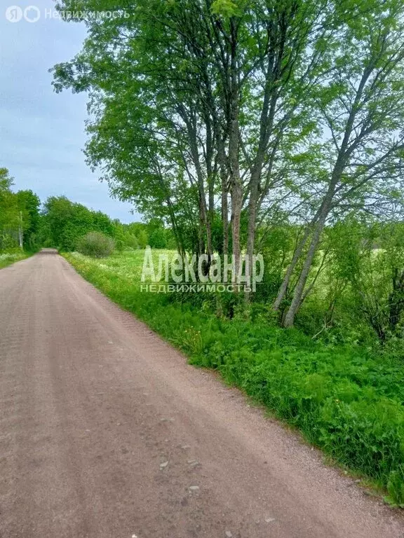 Участок в Выборгский район, Селезнёвское сельское поселение, посёлок ... - Фото 1