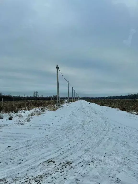 Участок в Тюменская область, Тюменский район, с. Горьковка Крылья ... - Фото 0