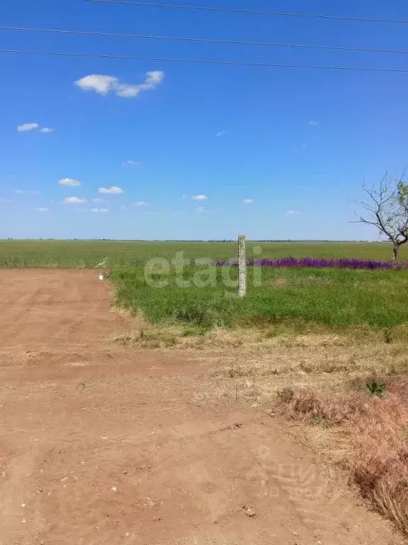 Участок в Крым, Сакский район, с. Молочное ул. Пионерская (6.3 сот.) - Фото 0