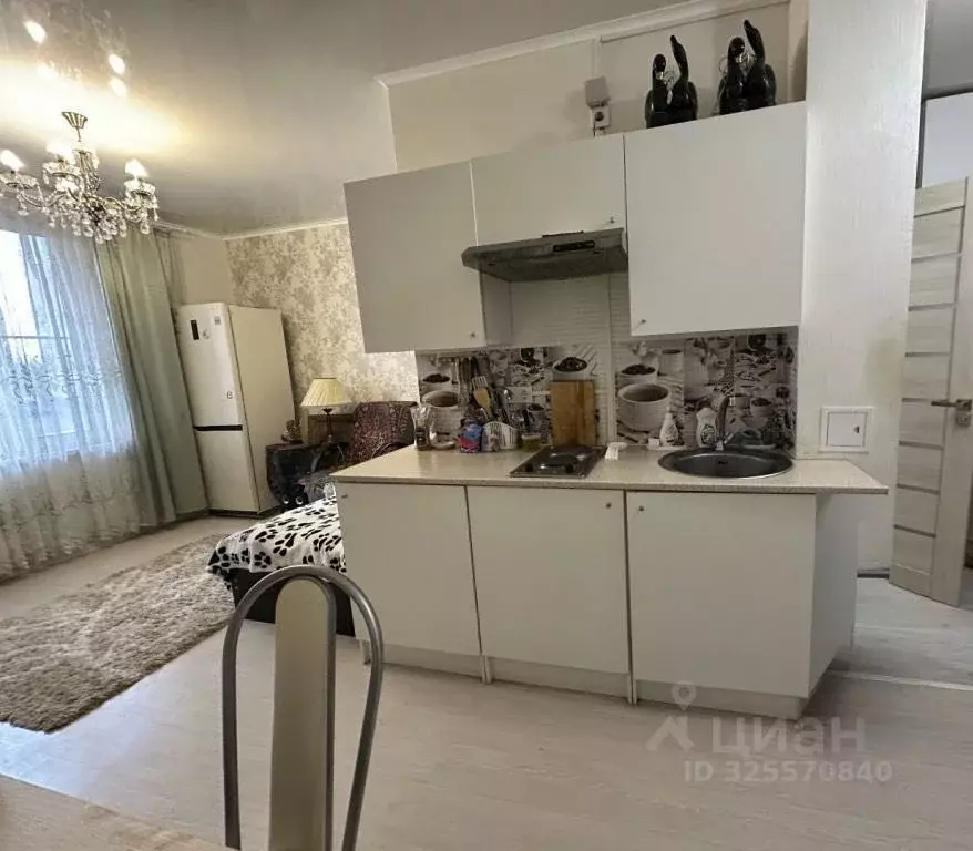 Студия Ростовская область, Ростов-на-Дону ул. Жданова, 19 (25.0 м) - Фото 2