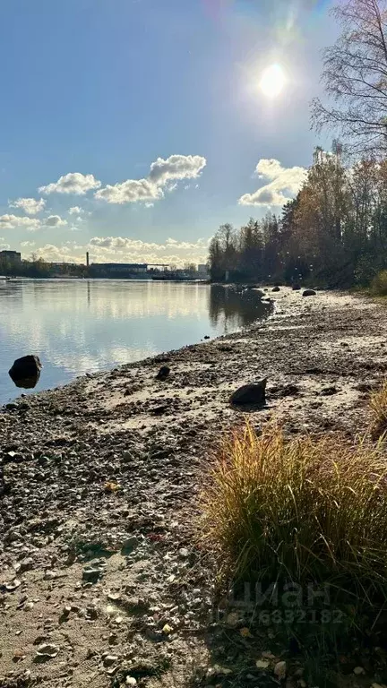 Участок в Ленинградская область, Всеволожский район, Свердловское ... - Фото 1