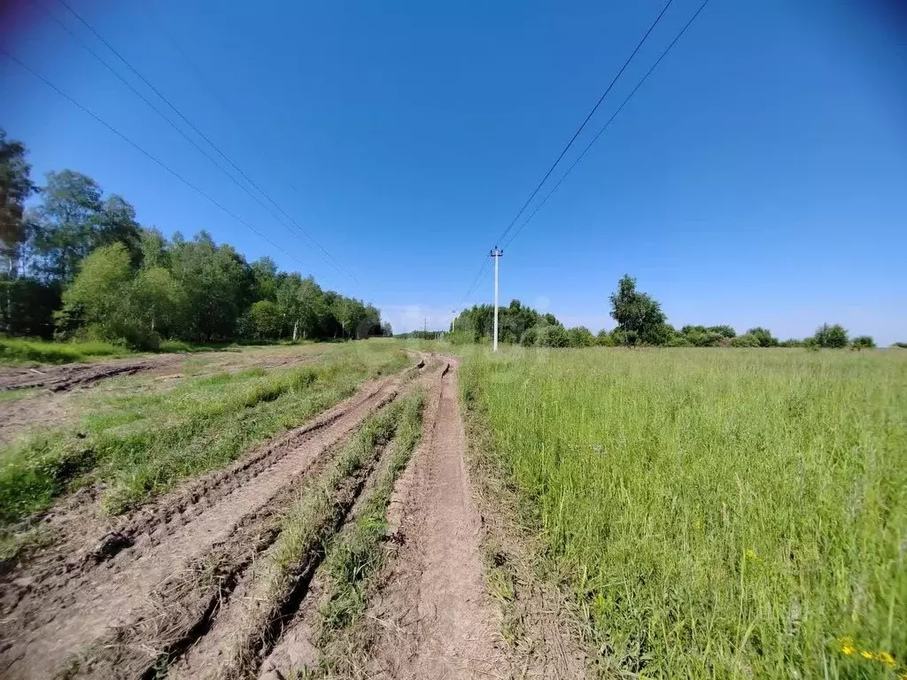 Участок в Московская область, Коломна городской округ, д. Андреевка  ... - Фото 1