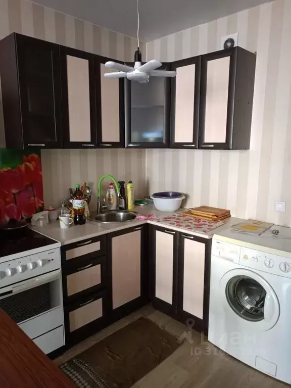 Студия Красноярский край, Красноярск Норильская ул., 52 (24.0 м) - Фото 0