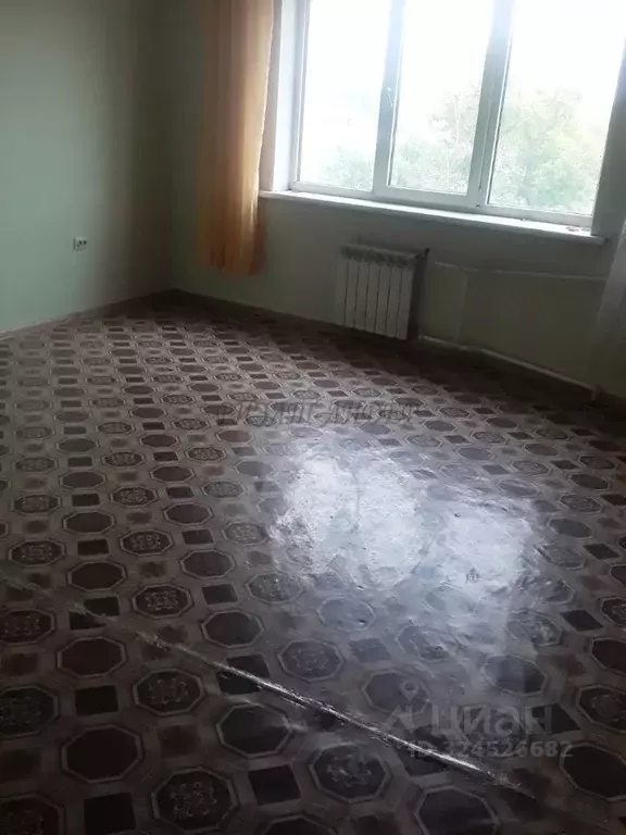 Студия Алтай, Горно-Алтайск Коммунистический просп., 125 (28.0 м) - Фото 1