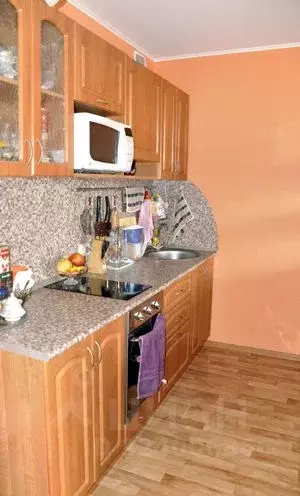 Студия Новосибирская область, Новосибирск Горский мкр, 75 (30.0 м) - Фото 1