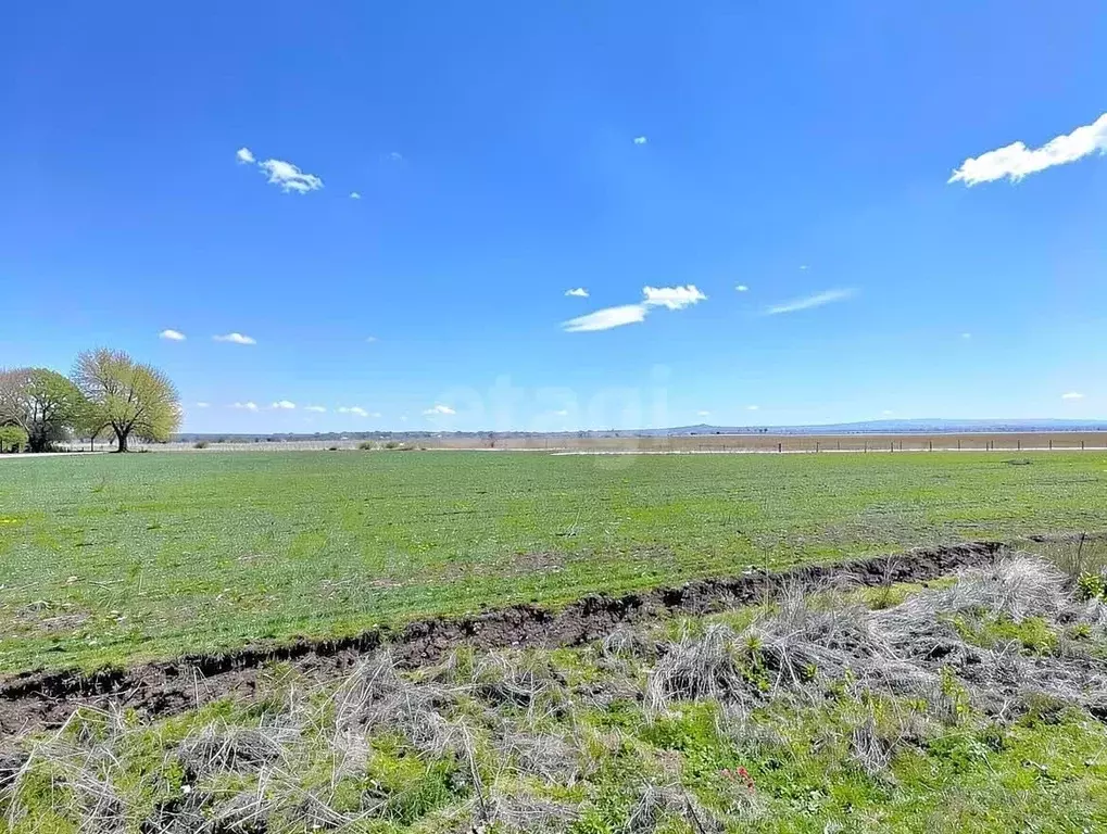 Участок в Краснодарский край, Темрюкский район, Ахтанизовское с/пос, ... - Фото 2