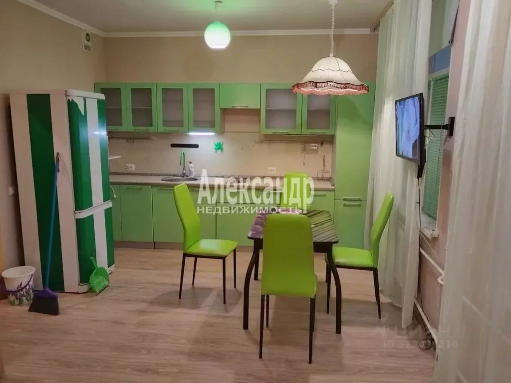 Студия Ленинградская область, Сертолово Всеволожский район, ... - Фото 2