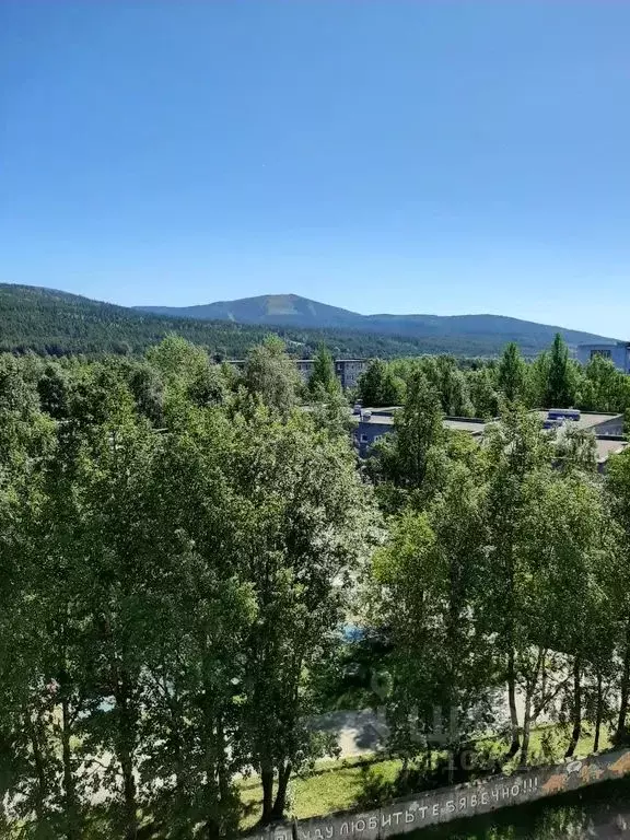 1-к кв. Мурманская область, Кандалакша Набережная ул., 119 (29.0 м) - Фото 0
