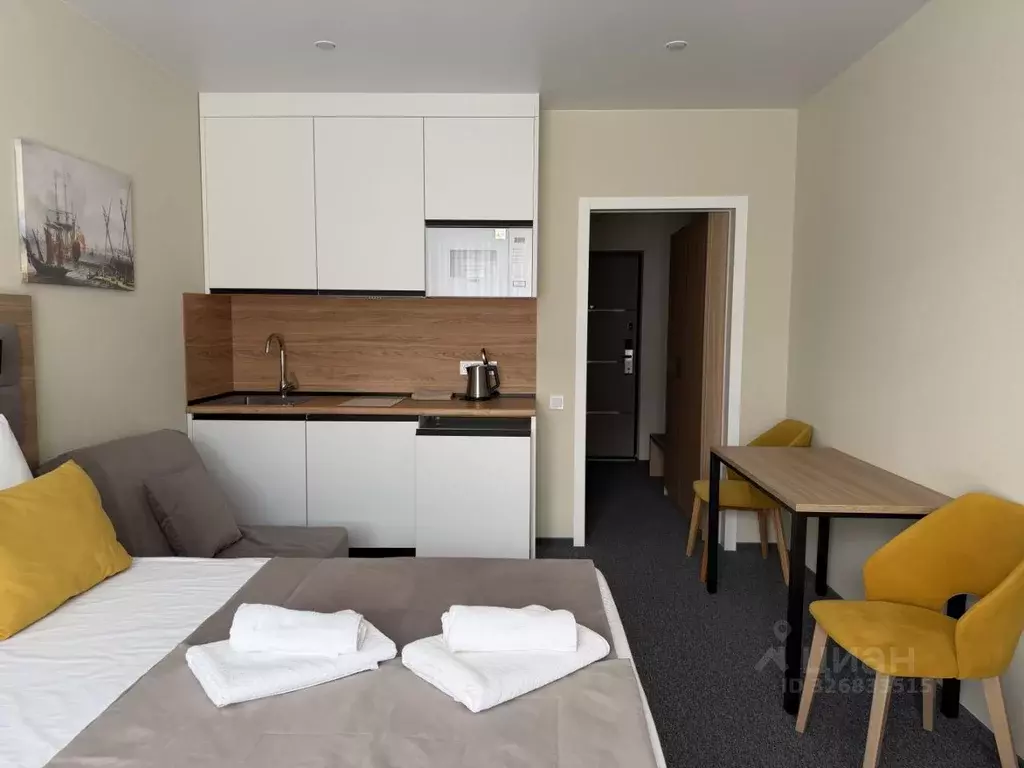 Студия Краснодарский край, Сочи ул. Искры, 88к3 (30.0 м) - Фото 2