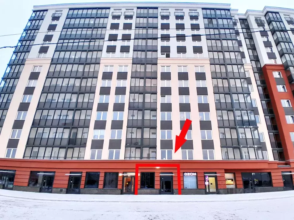 Помещение свободного назначения в Ленинградская область, Мурино ... - Фото 2