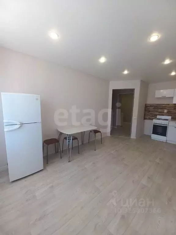 1-к кв. Амурская область, Благовещенский район, с. Чигири Восточная ... - Фото 2