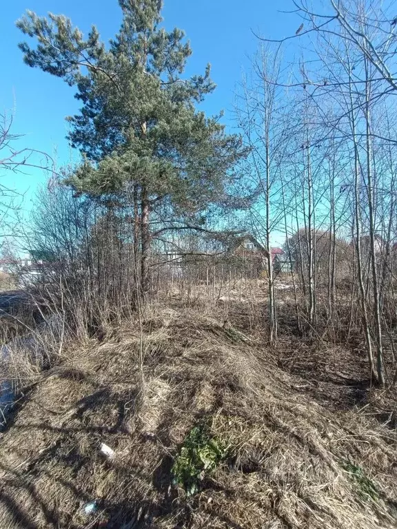 Дом в Ленинградская область, Тосненский район, Красноборское городское ... - Фото 2