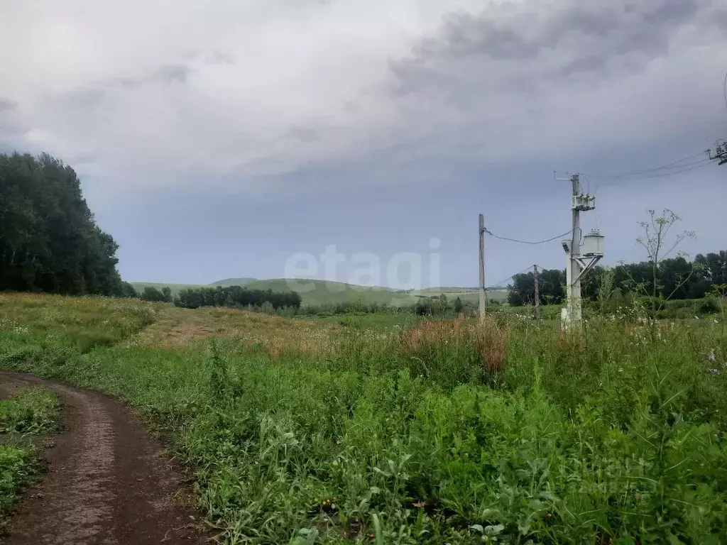 Участок в Алтайский край, Алтайский район, с. Алтайское ул. Советская ... - Фото 2