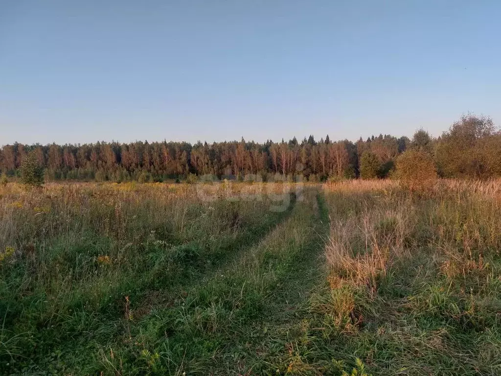 Участок в Калужская область, Калуга городской округ, д. Колюпаново  ... - Фото 2