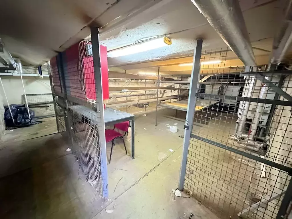 Помещение свободного назначения в Санкт-Петербург Старо-Петергофский ... - Фото 1