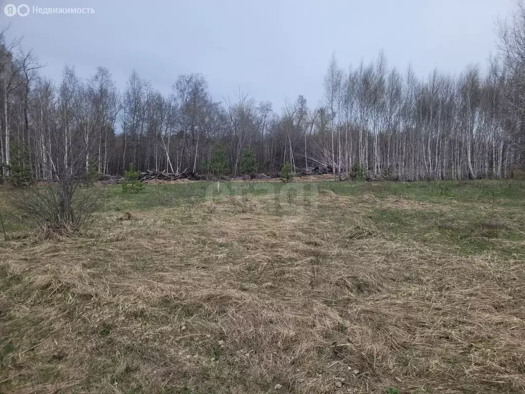 Участок в Ульяновск, СТ Лесной (8 м) - Фото 1