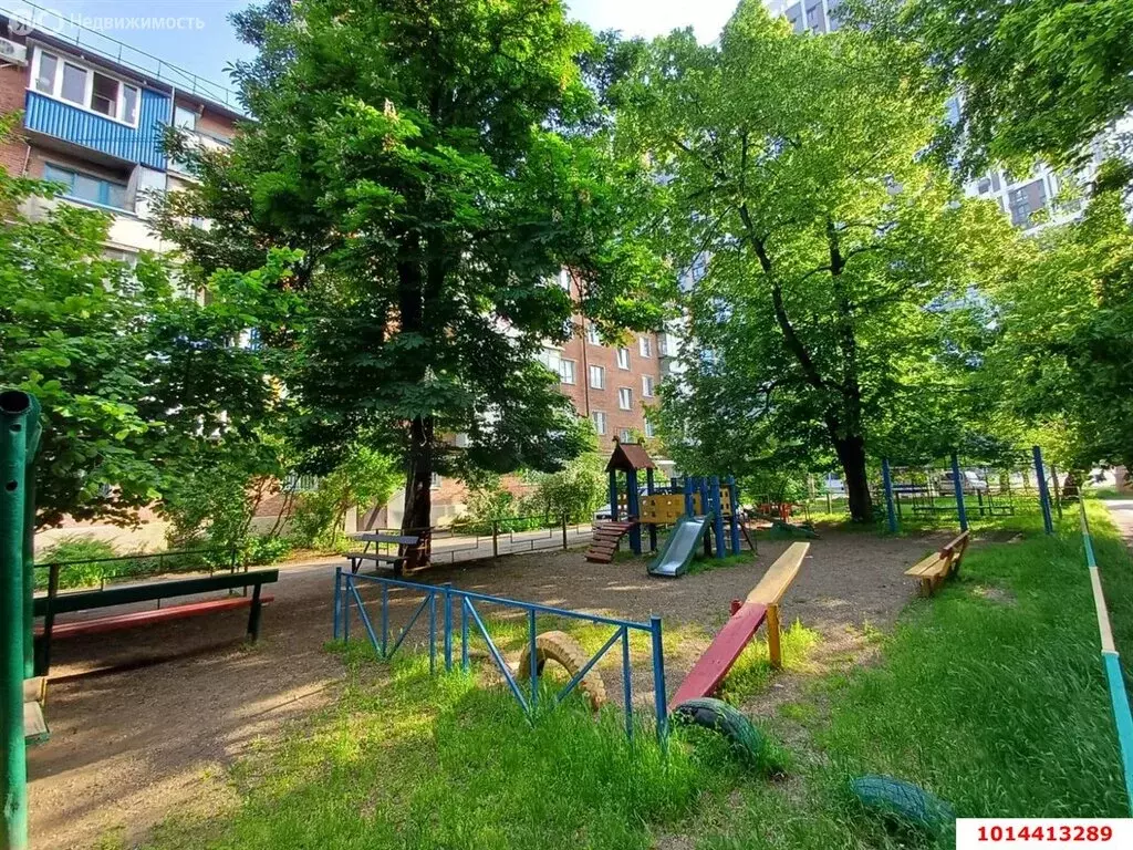 1-комнатная квартира: Краснодар, Колхозная улица, 26 (20 м) - Фото 0