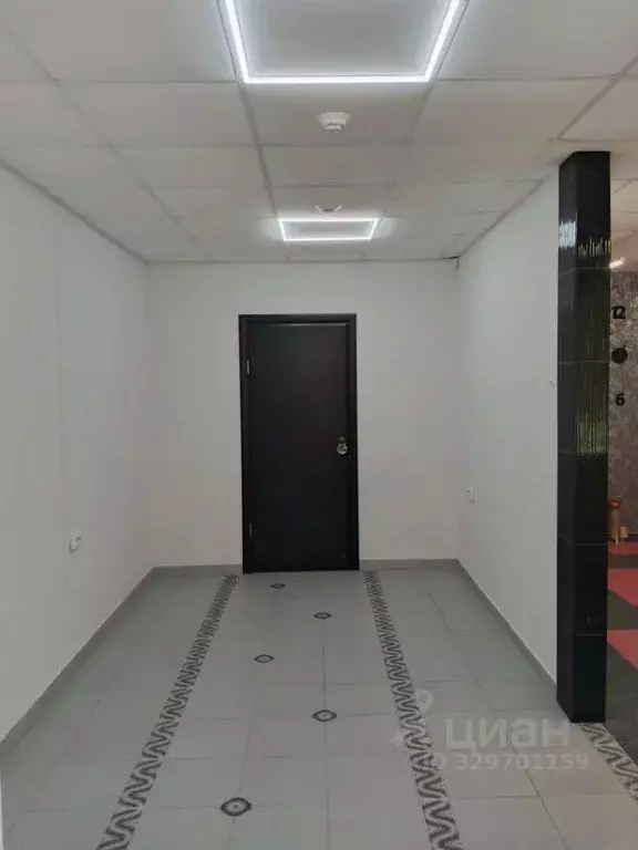 Помещение свободного назначения в Курганская область, Курган ул. ... - Фото 2