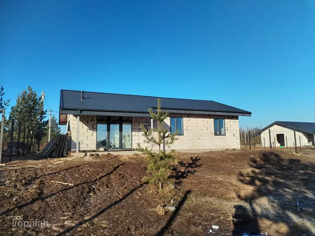 Дом в Нижегородская область, с. Безводное ул. Вячеслава Борисова (104 ... - Фото 1