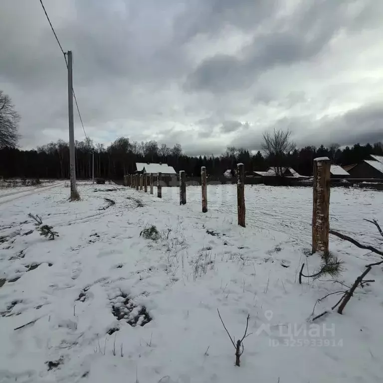 Участок в Владимирская область, Вязниковский район, Сарыевское ... - Фото 1