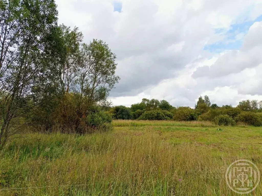 Участок в Ленинградская область, Кировский район, с. Путилово ул. ... - Фото 1
