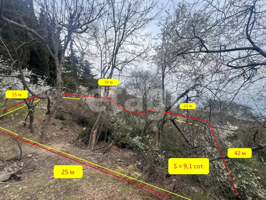 Участок в Крым, Ялта муниципальный округ, Гаспра пгт ул. 40 лет ... - Фото 2