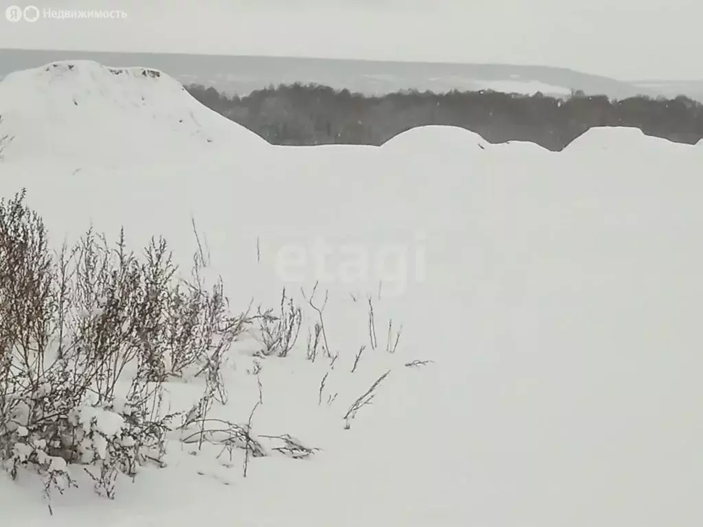 Участок в село Нелжа, улица Свободы (1260 м) - Фото 1