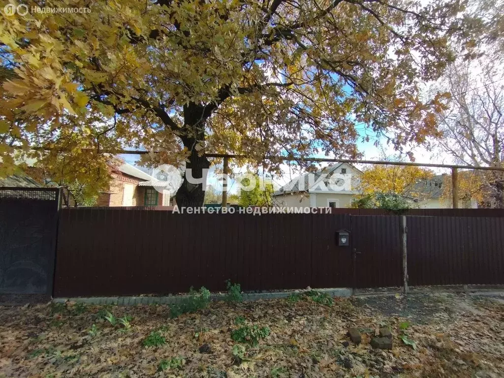 Участок в Алексеевское сельское поселение, хутор Ильичёвка, улица ... - Фото 1